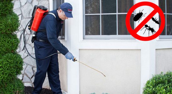 Baykan Karınca İlaçlama böcek ilaçlama ve haşere kontrolü — ilaclama-tr.com